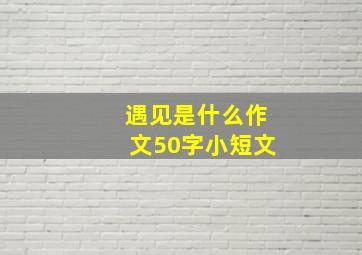 遇见是什么作文50字小短文