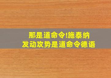 那是道命令!施泰纳发动攻势是道命令德语