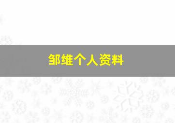 邹维个人资料