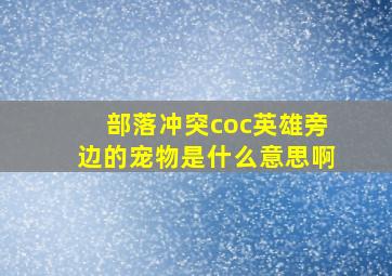 部落冲突coc英雄旁边的宠物是什么意思啊