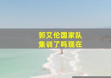 郭艾伦国家队集训了吗现在