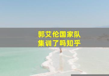 郭艾伦国家队集训了吗知乎