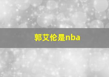 郭艾伦是nba