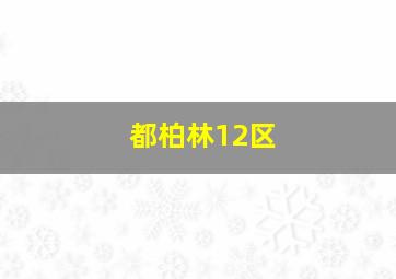 都柏林12区