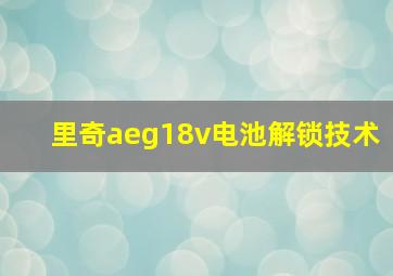 里奇aeg18v电池解锁技术