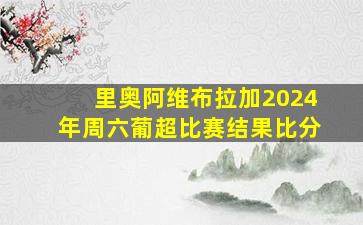 里奥阿维布拉加2024年周六葡超比赛结果比分