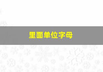 里面单位字母