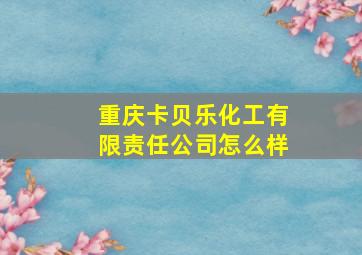 重庆卡贝乐化工有限责任公司怎么样