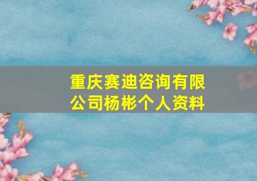 重庆赛迪咨询有限公司杨彬个人资料