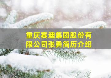 重庆赛迪集团股份有限公司张勇简历介绍