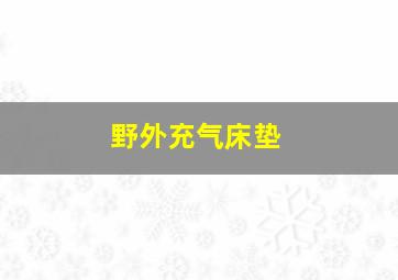 野外充气床垫