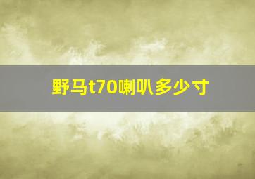 野马t70喇叭多少寸