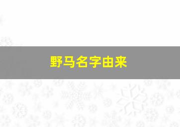 野马名字由来