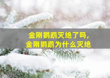 金刚鹦鹉灭绝了吗,金刚鹦鹉为什么灭绝