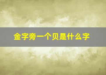 金字旁一个贝是什么字