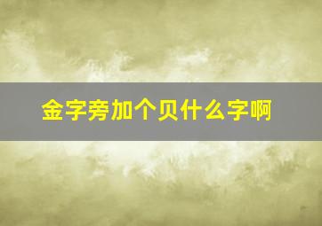 金字旁加个贝什么字啊