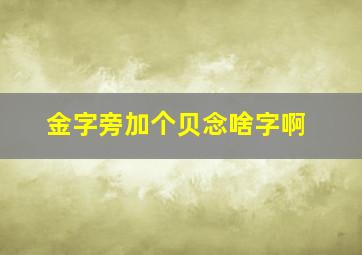 金字旁加个贝念啥字啊