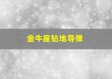 金牛座钻地导弹