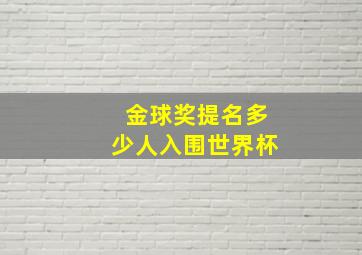 金球奖提名多少人入围世界杯