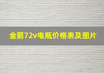 金箭72v电瓶价格表及图片