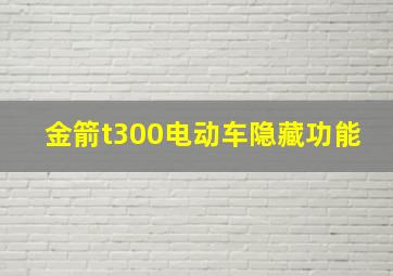 金箭t300电动车隐藏功能