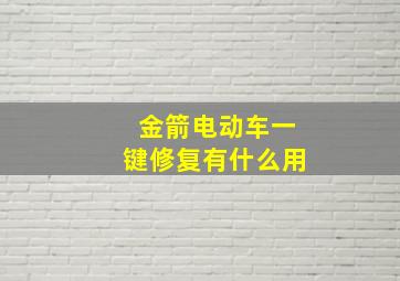 金箭电动车一键修复有什么用