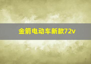 金箭电动车新款72v