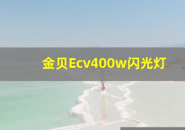 金贝Ecv400w闪光灯