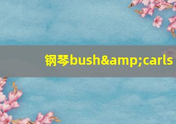 钢琴bush&carls