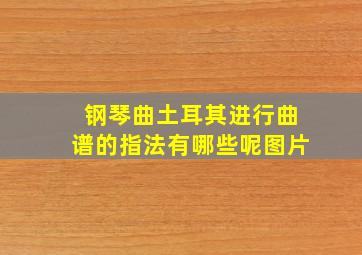 钢琴曲土耳其进行曲谱的指法有哪些呢图片