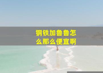 钢铁加鲁鲁怎么那么便宜啊