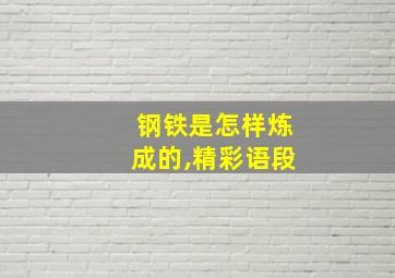 钢铁是怎样炼成的,精彩语段