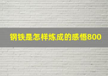 钢铁是怎样炼成的感悟800