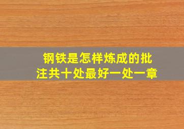 钢铁是怎样炼成的批注共十处最好一处一章