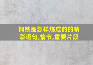 钢铁是怎样炼成的的精彩语句,情节,重要片段