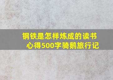 钢铁是怎样炼成的读书心得500字骑鹅旅行记