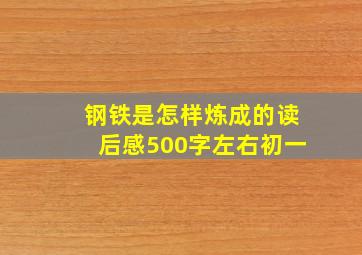 钢铁是怎样炼成的读后感500字左右初一