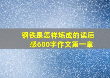 钢铁是怎样炼成的读后感600字作文第一章