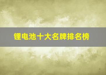 锂电池十大名牌排名榜