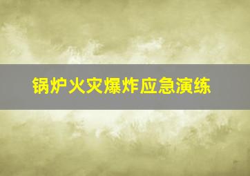 锅炉火灾爆炸应急演练