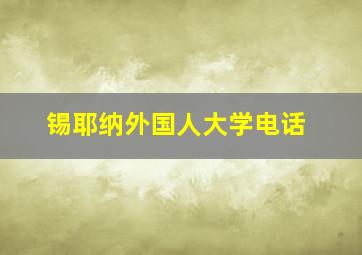 锡耶纳外国人大学电话