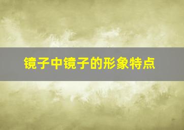 镜子中镜子的形象特点