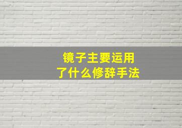 镜子主要运用了什么修辞手法