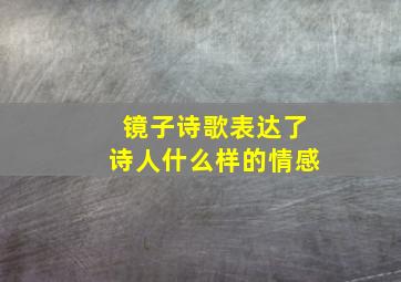 镜子诗歌表达了诗人什么样的情感