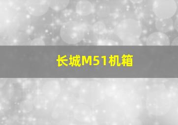 长城M51机箱