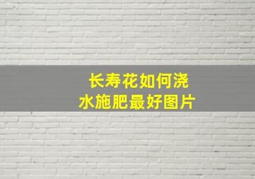 长寿花如何浇水施肥最好图片