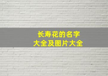 长寿花的名字大全及图片大全