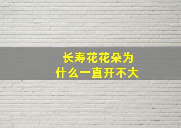 长寿花花朵为什么一直开不大