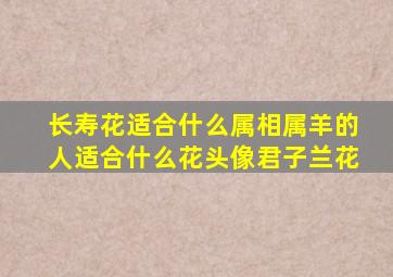 长寿花适合什么属相属羊的人适合什么花头像君子兰花