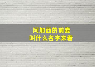 阿加西的前妻叫什么名字来着